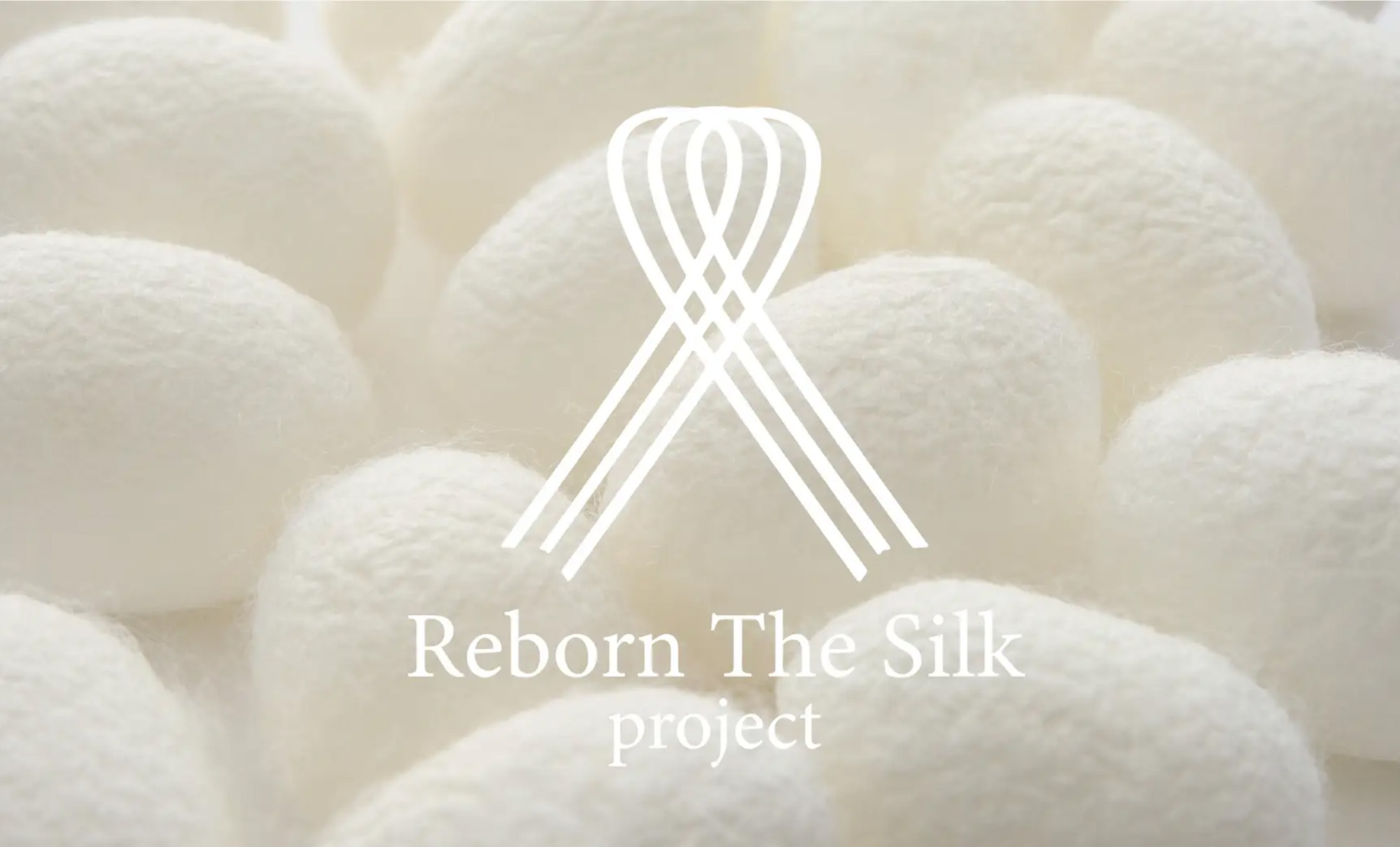 Reborn The Silkプロジェクト